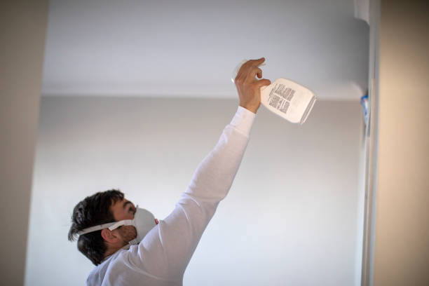 Best Office Mold Removal Services  in Shil, OH