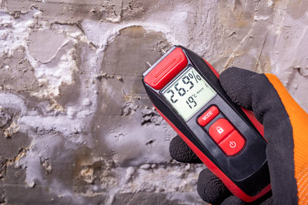 Best Toxic Mold Removal  in Shil, OH