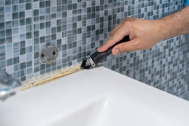 Best Certified Mold Removal  in Shil, OH
