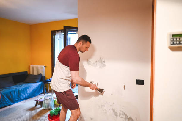 Trusted Shiloh, OH Mold Removal Experts